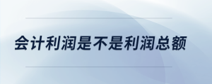 會(huì)計(jì)利潤是不是利潤總額