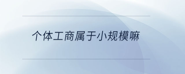 個體工商屬于小規(guī)模嘛