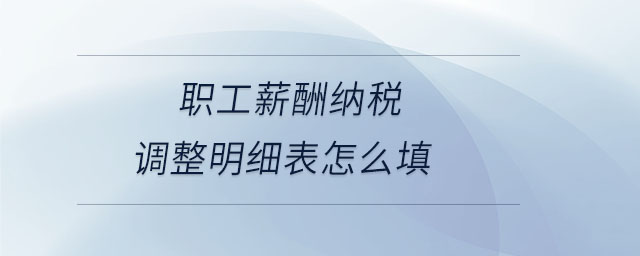 職工薪酬納稅調整明細表怎么填