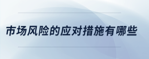 市場風(fēng)險的應(yīng)對措施有哪些