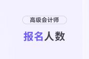 山東濟(jì)寧2024年高級會(huì)計(jì)師考試報(bào)名人數(shù)321人