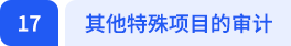 其他特殊項目的審計