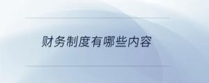 財務(wù)制度有哪些內(nèi)容