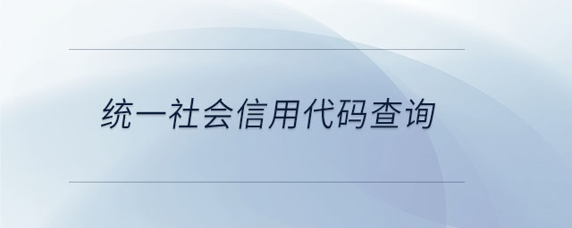 統(tǒng)一社會(huì)信用代碼查詢