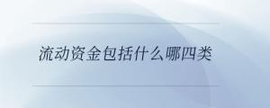 流動(dòng)資金包括什么哪四類(lèi)