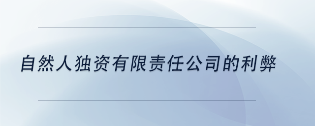 中級會計自然人獨資有限責(zé)任公司的利弊