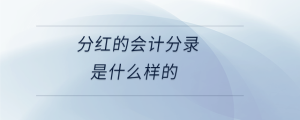 分紅的會(huì)計(jì)分錄是什么樣的