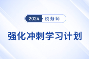 2024年稅務(wù)師《涉稅服務(wù)實務(wù)》強化沖刺階段學習計劃