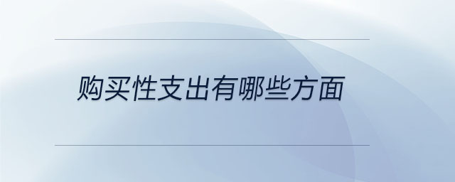購買性支出有哪些方面