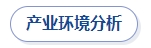 產業(yè)環(huán)境分析