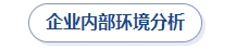 企業(yè)內部環(huán)境分析
