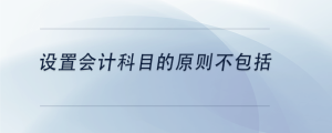 設(shè)置會計(jì)科目的原則不包括