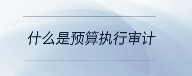 什么是預(yù)算執(zhí)行審計