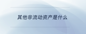 其他非流動資產是什么