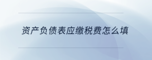 資產(chǎn)負(fù)債表應(yīng)繳稅費怎么填