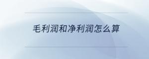 毛利潤和凈利潤怎么算