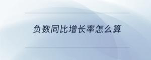負數(shù)同比增長率怎么算