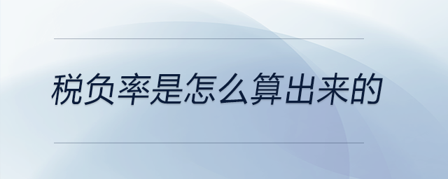 稅負(fù)率是怎么算出來(lái)的