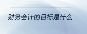 財(cái)務(wù)會計(jì)的目標(biāo)是什么