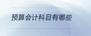 預(yù)算會(huì)計(jì)科目有哪些