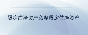 限定性?xún)糍Y產(chǎn)和非限定性?xún)糍Y產(chǎn)