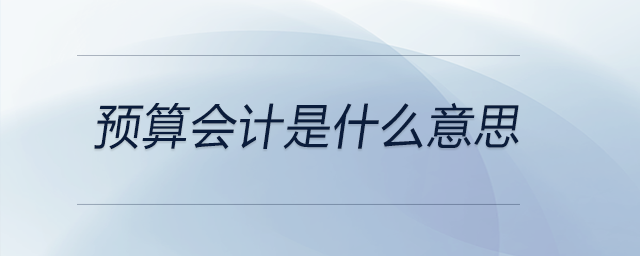 預(yù)算會計是什么意思