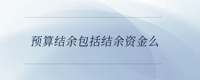 預算結余包括結余資金么