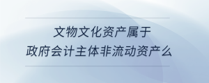 文物文化資產(chǎn)屬于政府會(huì)計(jì)主體非流動(dòng)資產(chǎn)么