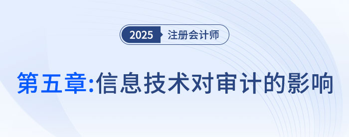 第五章信息技術(shù)對審計(jì)的影響_2025年注會審計(jì)習(xí)題隨章演練