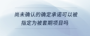 尚未確認(rèn)的確定承諾可以被指定為被套期項目嗎