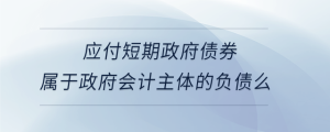 應(yīng)付短期政府債券屬于政府會計主體的負(fù)債么