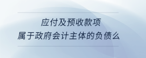 應(yīng)付及預(yù)收款項屬于政府會計主體的負(fù)債么