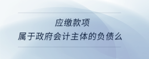 應(yīng)繳款項屬于政府會計主體的負(fù)債么