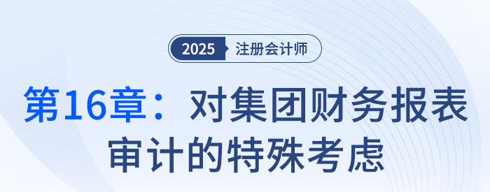 第十六章對集團財務(wù)報表審的特殊考慮_2025年注會審計思維導(dǎo)圖