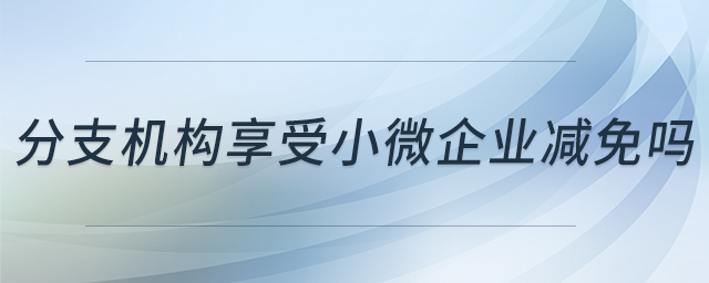 分支機構享受小微企業(yè)減免嗎