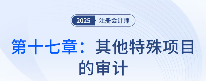 第十七章其他特殊項(xiàng)目的審計(jì)_2025年注會(huì)審計(jì)習(xí)題隨章演練