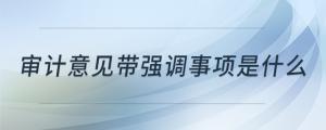審計意見帶強調事項是什么