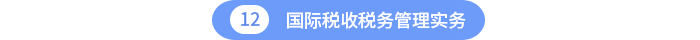 國(guó)際稅收稅務(wù)管理實(shí)務(wù)