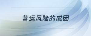 營運風險的成因