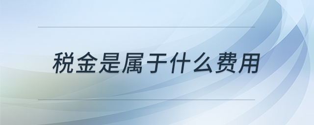 稅金是屬于什么費(fèi)用