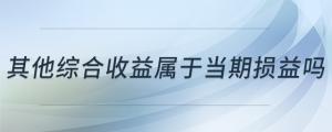 其他綜合收益屬于當(dāng)期損益嗎