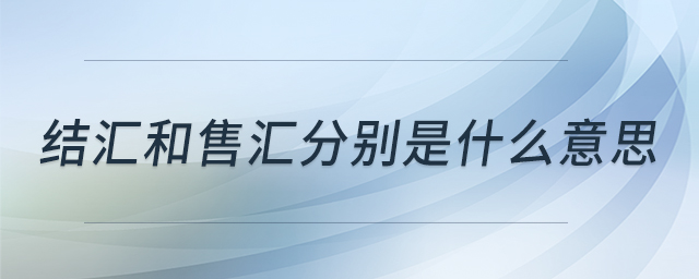 結匯和售匯分別是什么意思