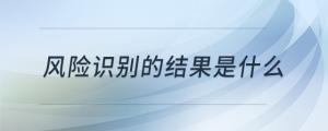 風險識別的結果是什么