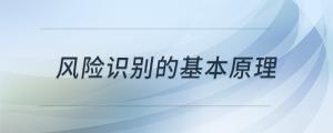 風險識別的基本原理