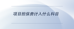 項目擔保費計入什么科目