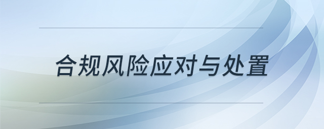 合規(guī)風(fēng)險(xiǎn)應(yīng)對(duì)與處置