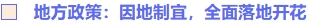 地方政策：因地制宜，全面落地開花