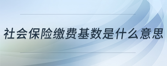 社會(huì)保險(xiǎn)繳費(fèi)基數(shù)是什么意思