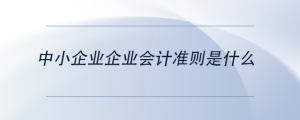 中小企業(yè)企業(yè)會計準則是什么