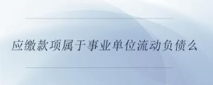 應(yīng)繳款項屬于事業(yè)單位流動負債么